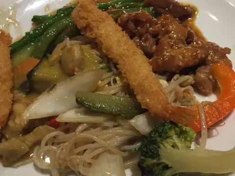 Osaka Teppanyaki & Buffet