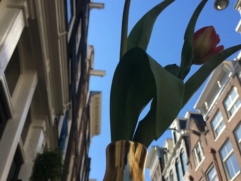 Foto 1 van Purna