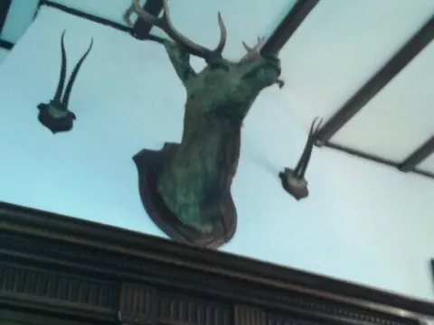 Het Roode Hert