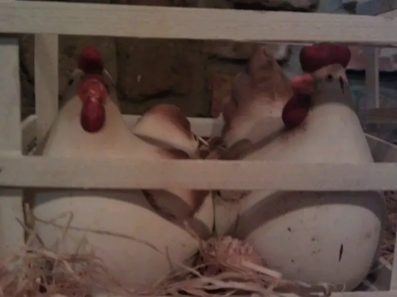 Foto 1 van De Wipkip