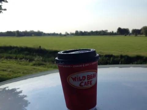 Foto 4 van Wild Bean Cafe