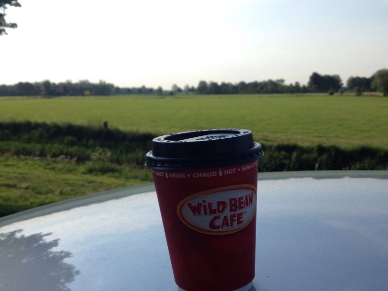 Wild Bean Cafe