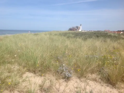 Foto 3 van De Parel Van Egmond