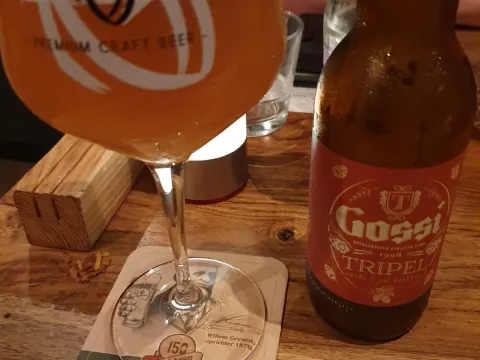 Foto 4 van Gossimijne Horst
