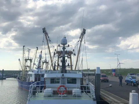Foto 4 van De Compagnie