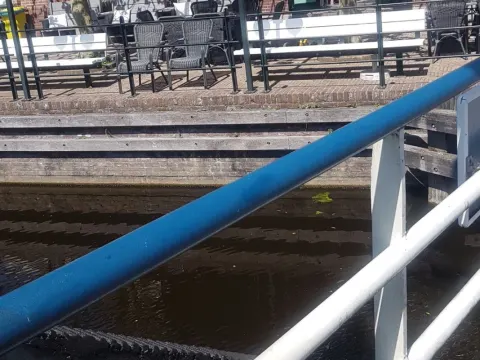 De IJsbeer