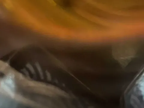 Suki Yaki