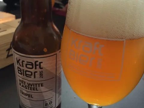 Het witte Kasteel