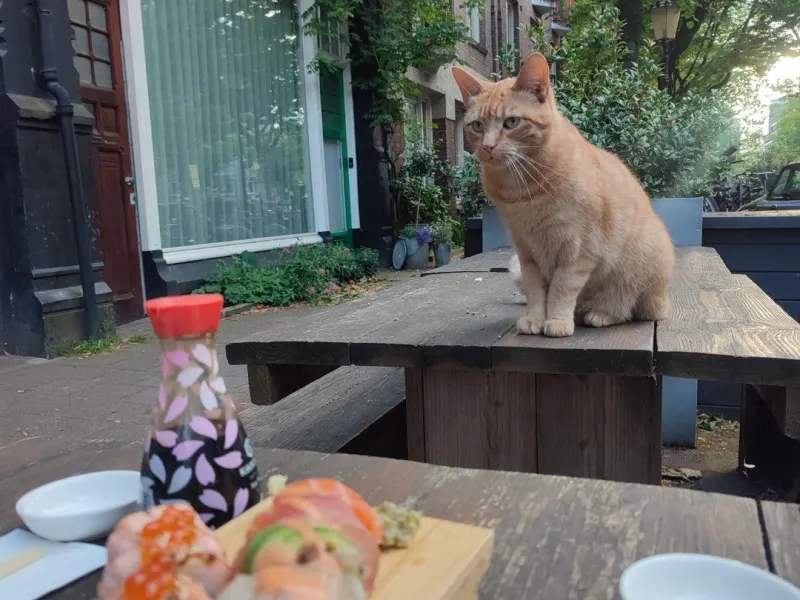 Foto 1 van Sushi Fanatics