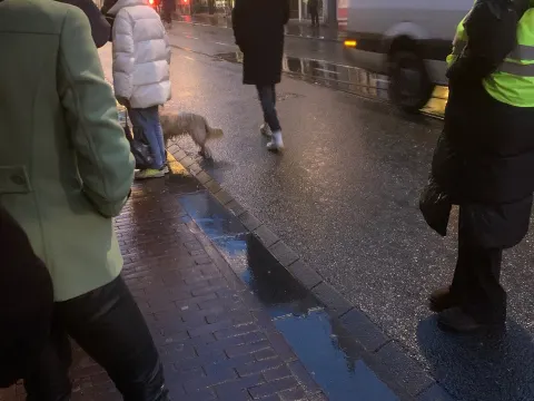 Yolanda en Fred de Leeuw