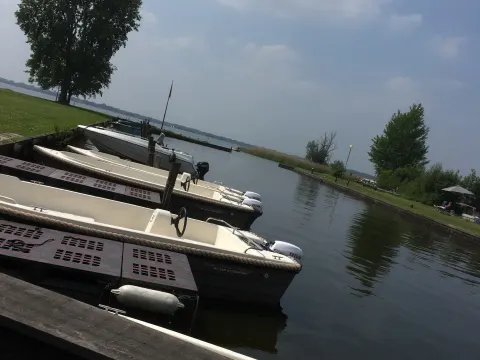 Foto 3 van Rietzoom