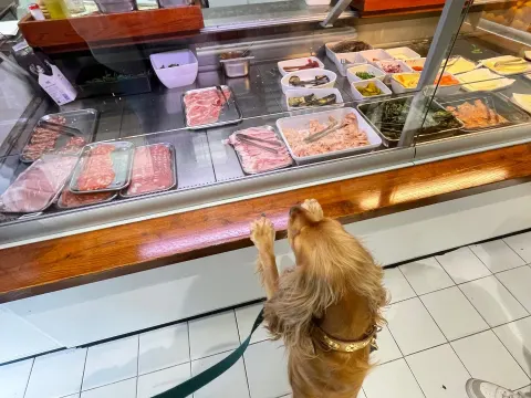 Cora Delicatessen & Broodjes