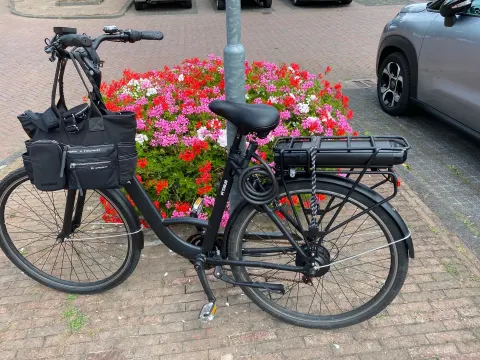 De Wieken