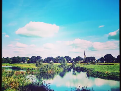De Kogelvanger