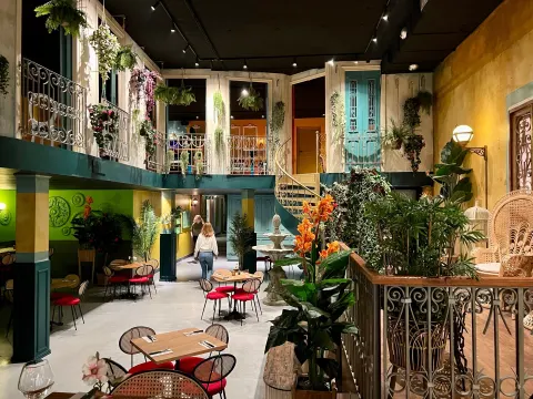 Nola