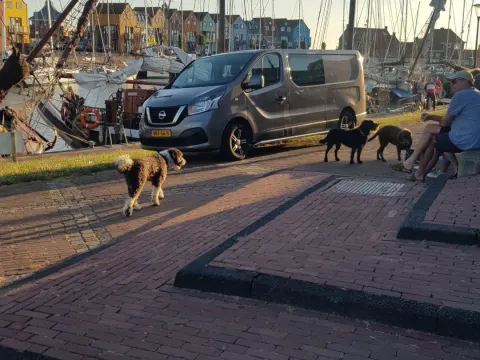 Foto 4 van 't Havenhoofd