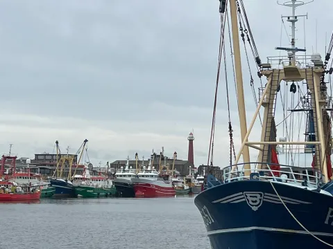 IJmuidens Haventje