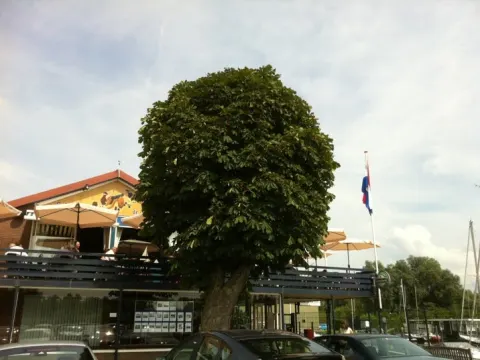 Foto 4 van De Batterij