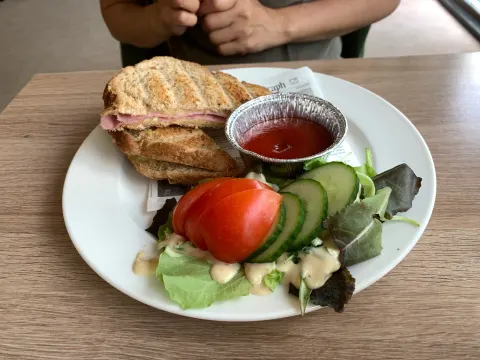Schollebos