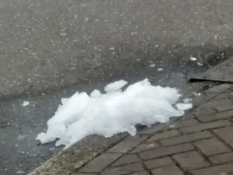 Molenaar Volendammer Vishandel