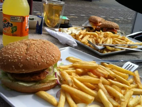 Brood Gewoon