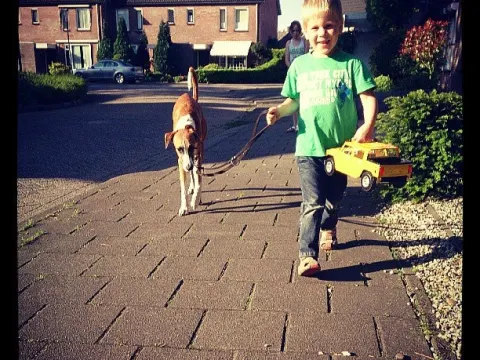 Brood Gewoon
