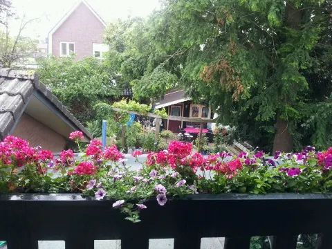Foto 2 van De Tokkies