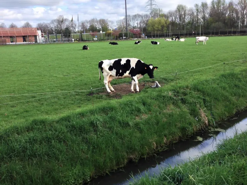 Foto 1 van McDonald's