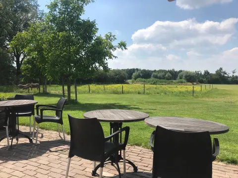 Passie Voor Vis