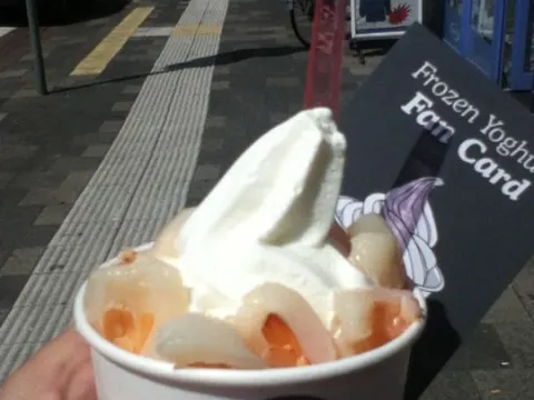 Foto 3 van Frozz & Oodlz | Breda
