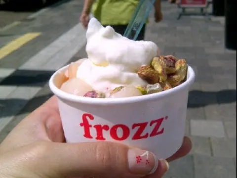 Foto 5 van Frozz & Oodlz | Breda