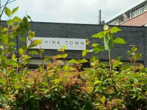 Foto 5 van Chinees Indisch Restaurant China Town