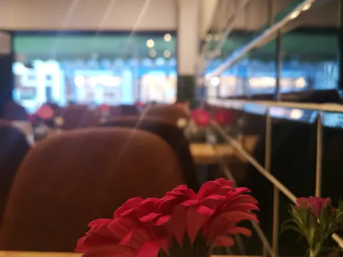Trattoria Olivo