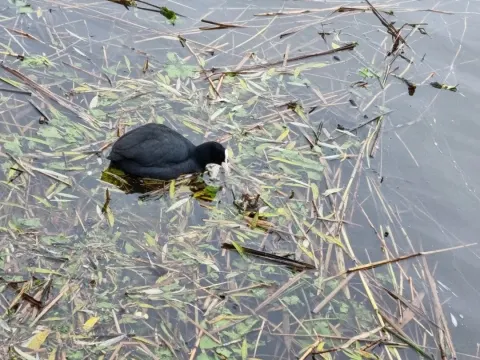 Foto 5 van Geniet aan de Amstel