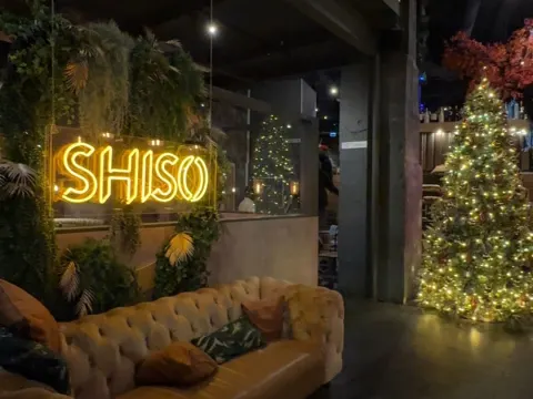 Shiso