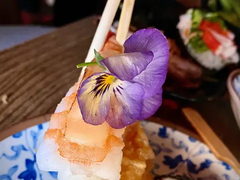 Shiso