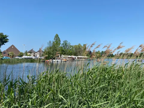 De Theetuin