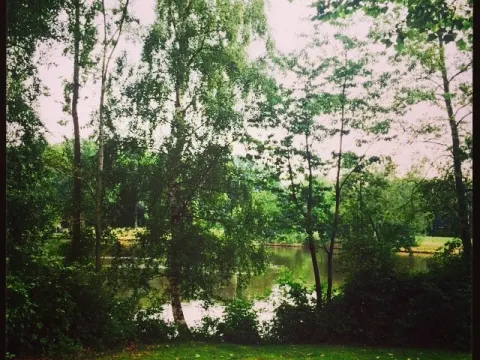 Restaurant Molenwijk