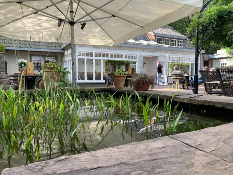 Foto 4 van Tafelberg
