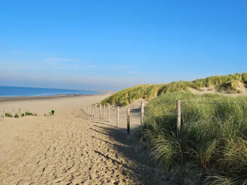 Parnassia aan Zee