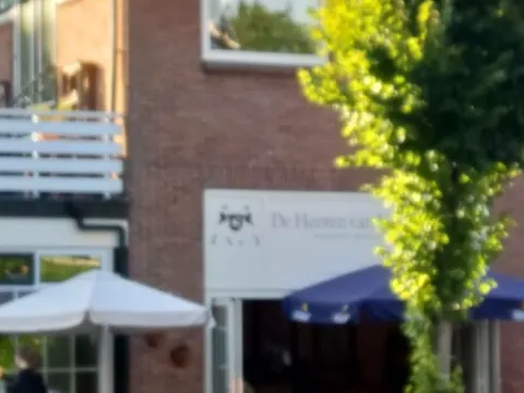 De Heeren van Velsen